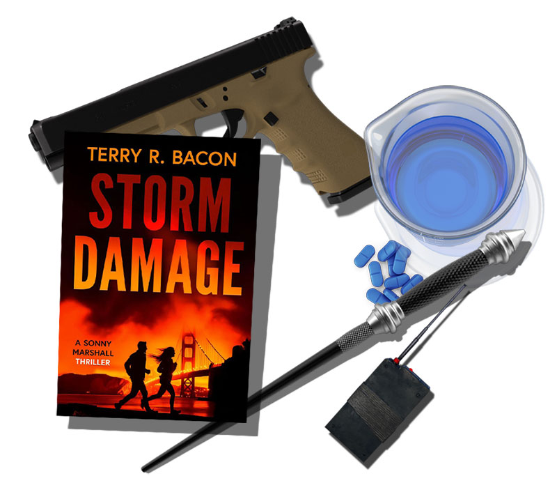 Storm Damage by Terry R. Bacon